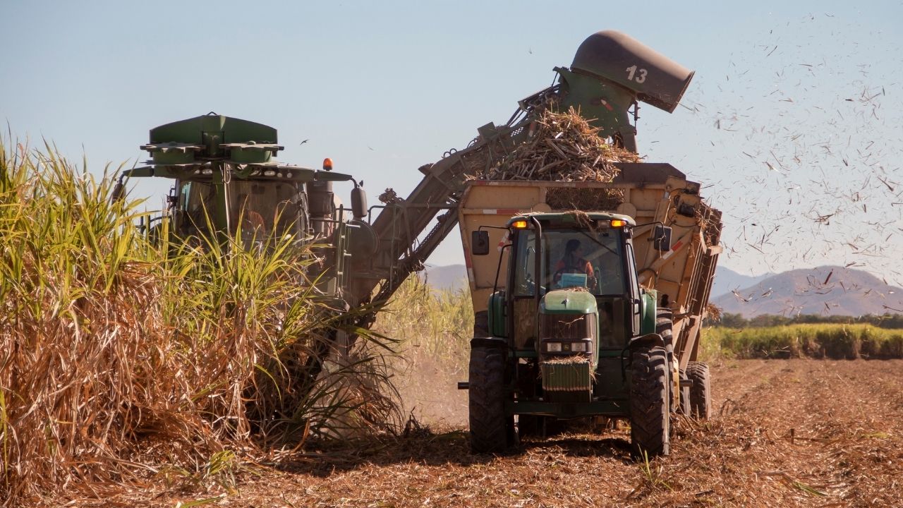 Inician zafra azucarera pese al impacto de tormentas tropicales