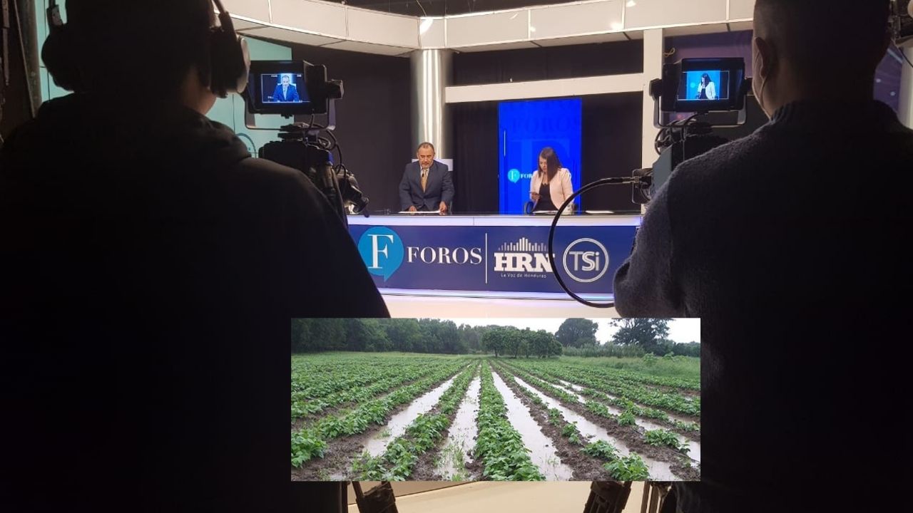 FOROS HRN: Agricultura de Honduras en el ojo del huracán