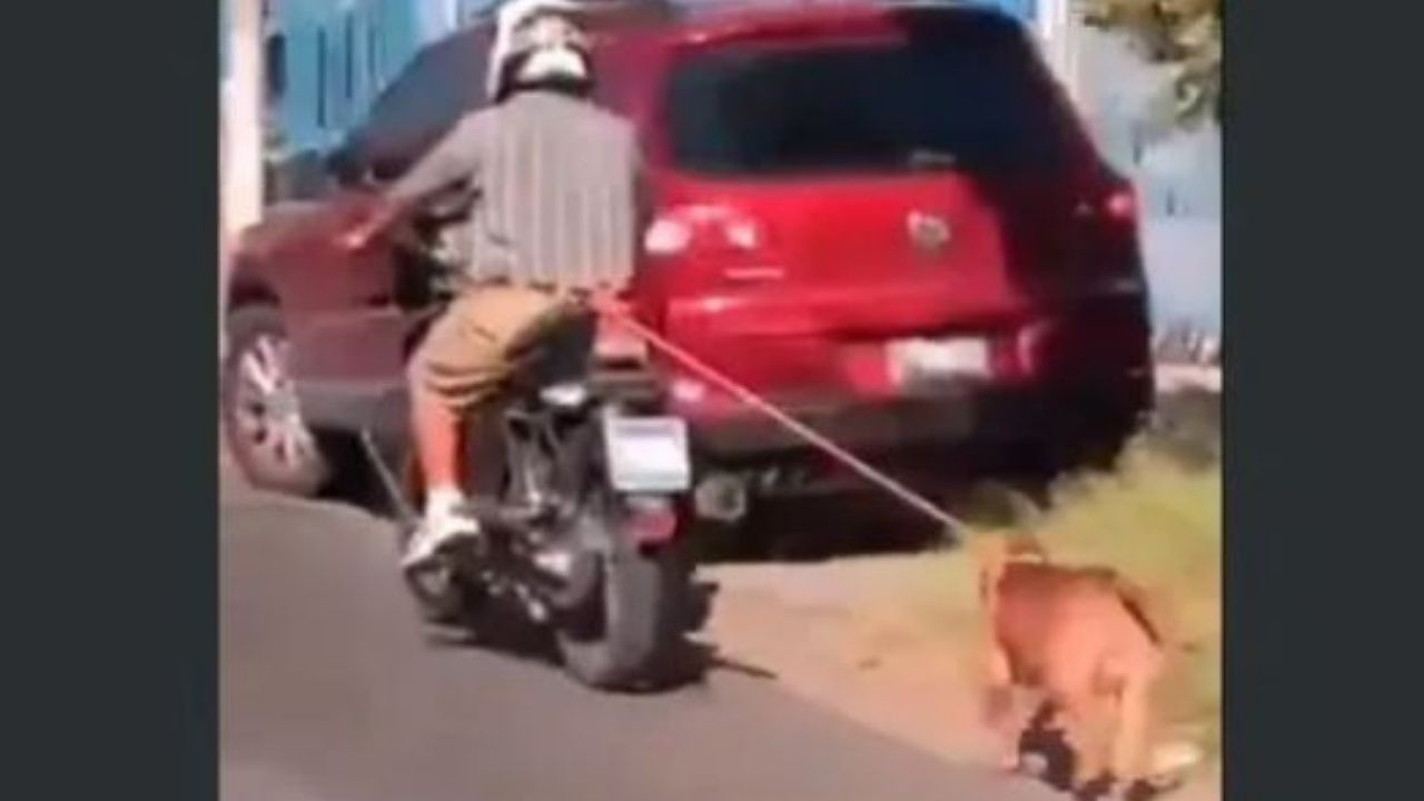 Indignación con hombre que amarró a su perro en una motocicleta mientras conducía en la vía pública en El Salvador, mira el video