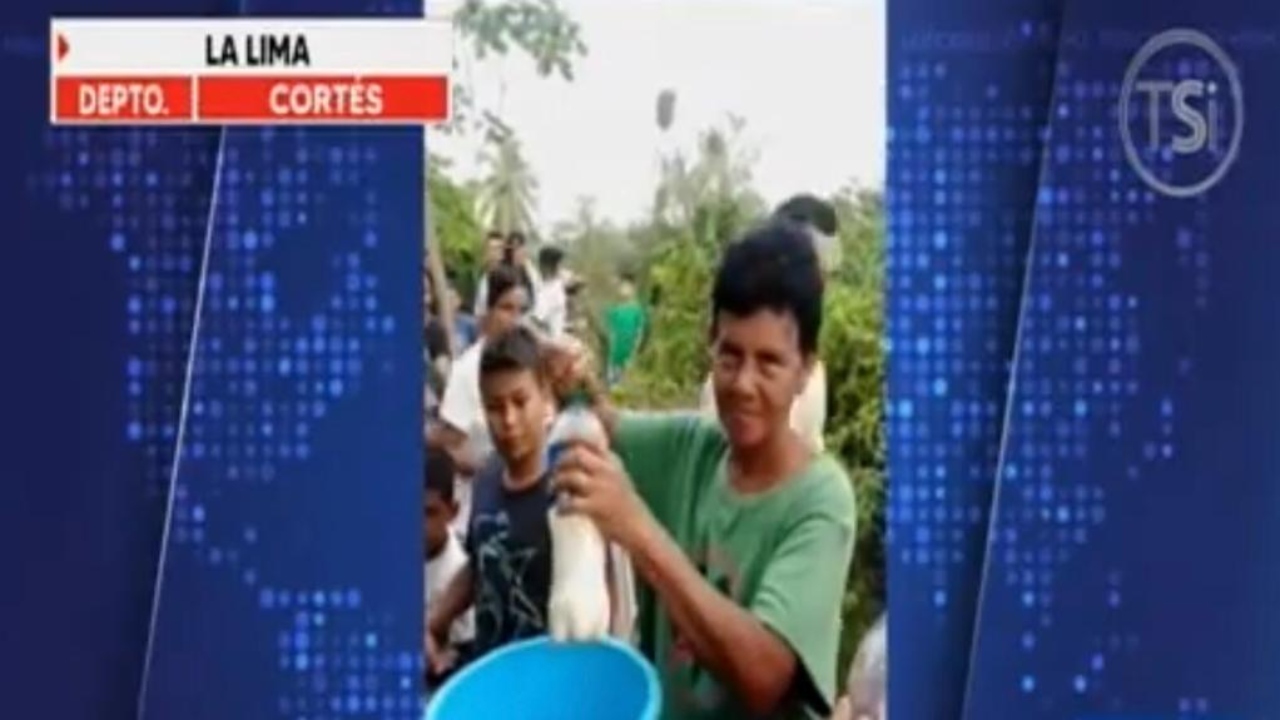 Hondureña ordeña todos los días a sus vacas para regalarle leche a los afectados por Eta e Iota
