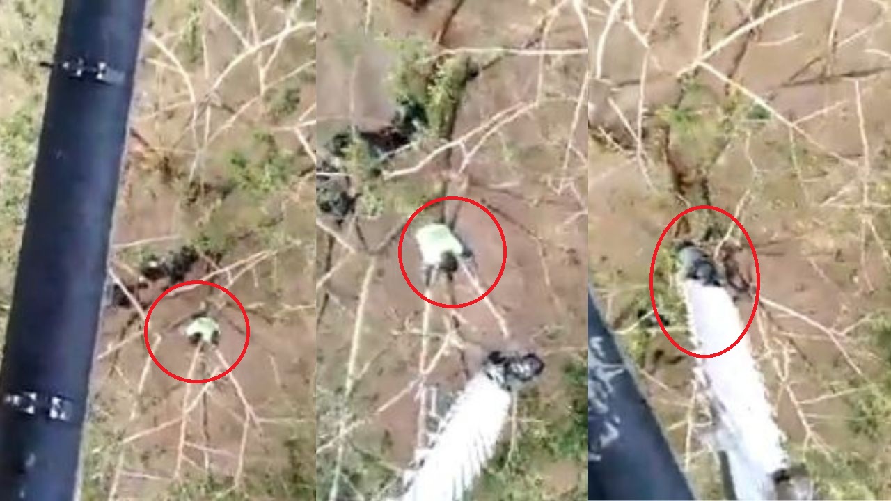 Así fue el impresionante rescate, desde un helicóptero, a un hombre atrapado en un árbol por las inundaciones en Cortés