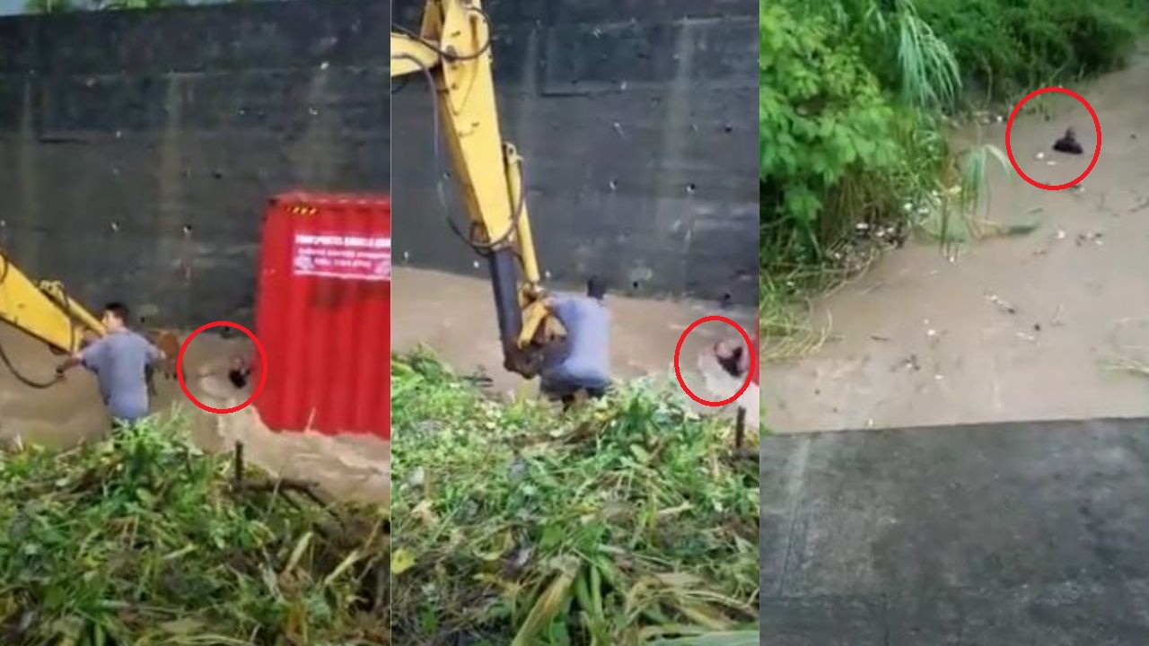 Hondureño se salva de morir luego de ser arrastrado por la corriente de un río en Tela