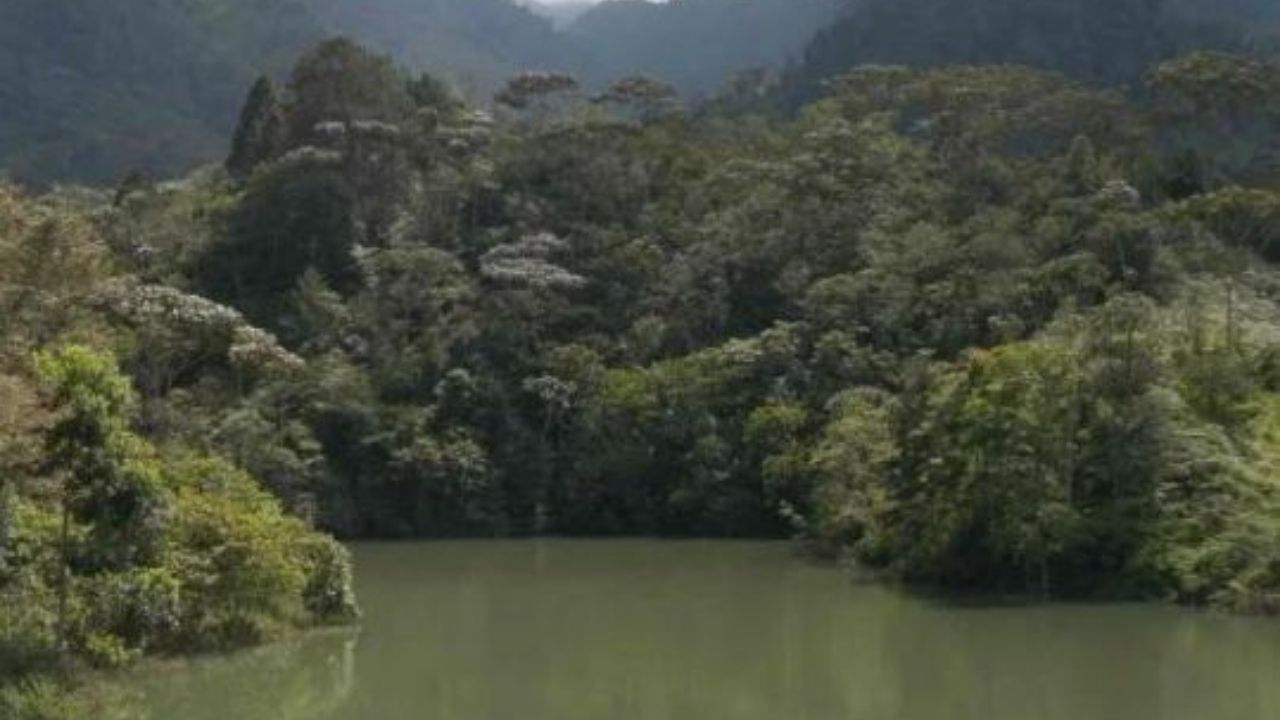 Por celos hondureño mata a su pareja y lanza el cuerpo a un río en Comayagua