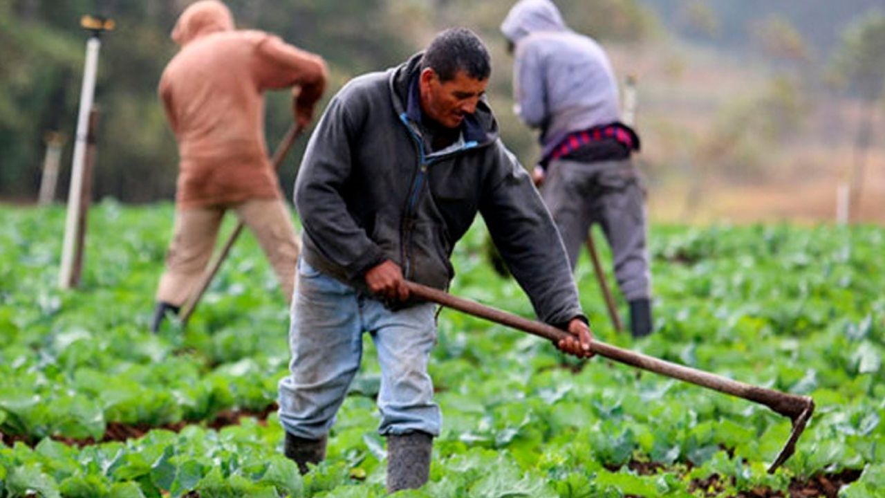 La agricultura de Honduras no logra recuperarse de estragos de huracanes