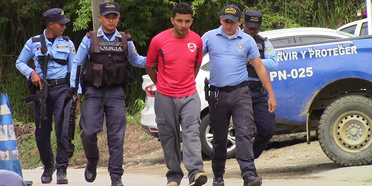 Imagen de cuerpo de nota