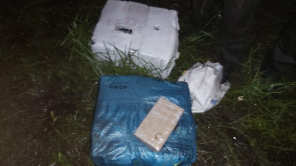 Imagen de cuerpo de nota