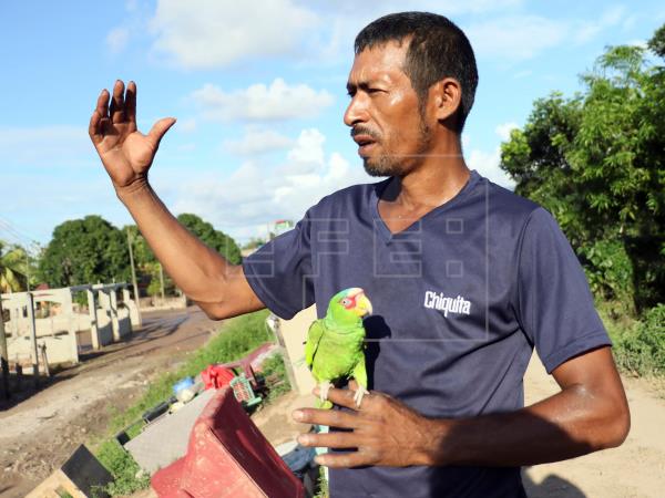 Imagen de cuerpo de nota