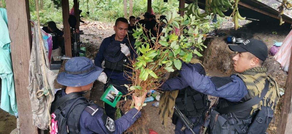 Imagen de cuerpo de nota