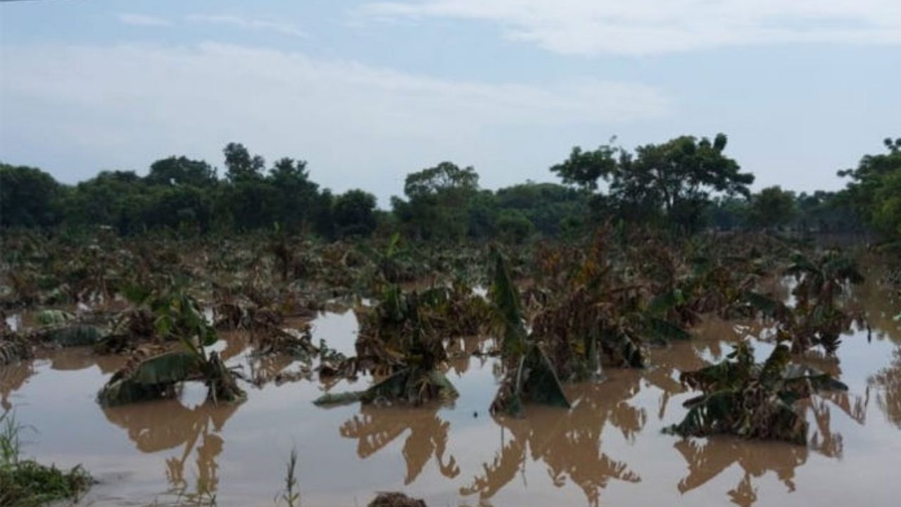 Más del 60 por ciento del sector agrícola resultó afectado por tormentas Eta e Iota en Honduras