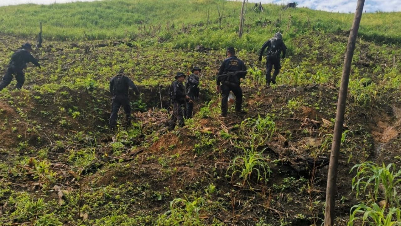 Desmantelan narcolaboratorio en Iriona y esto fue lo que encontraron