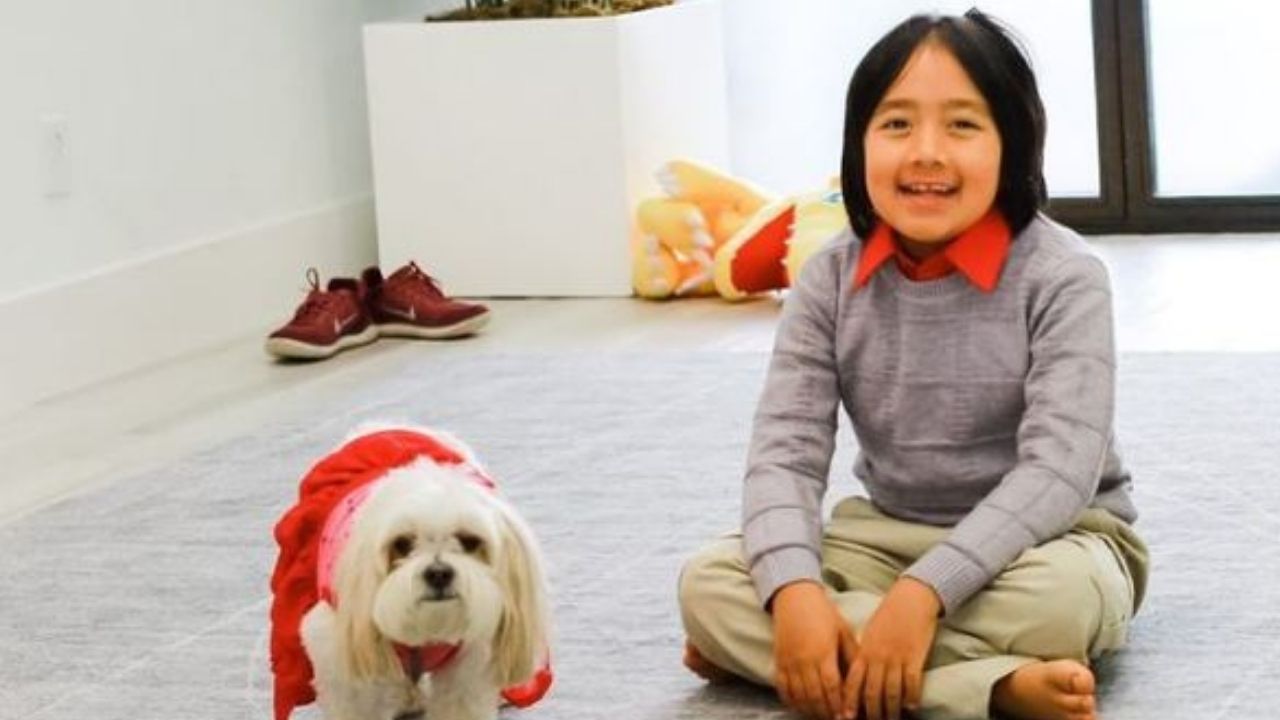 ¡Increíble! Niño de 9 años es el youtuber mejor pagado del mundo, mira cuánto ganó en un año