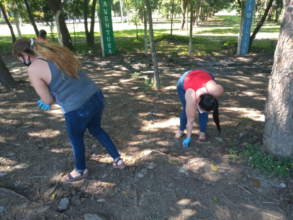 Imagen de cuerpo de nota