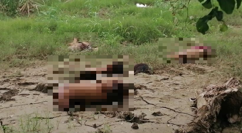 Imagen de cuerpo de nota