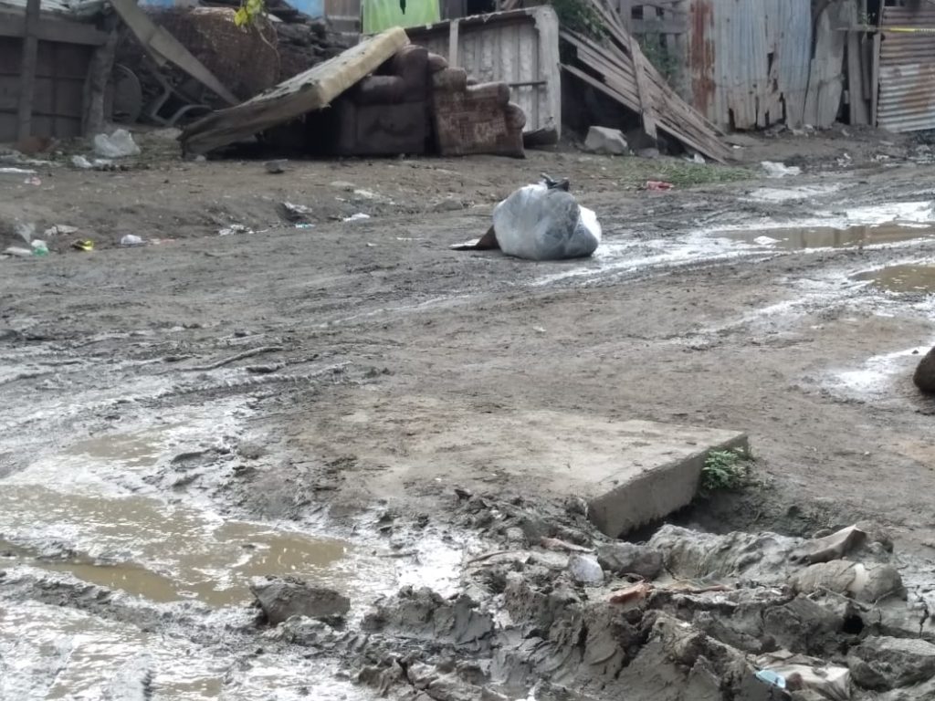 Imagen de cuerpo de nota