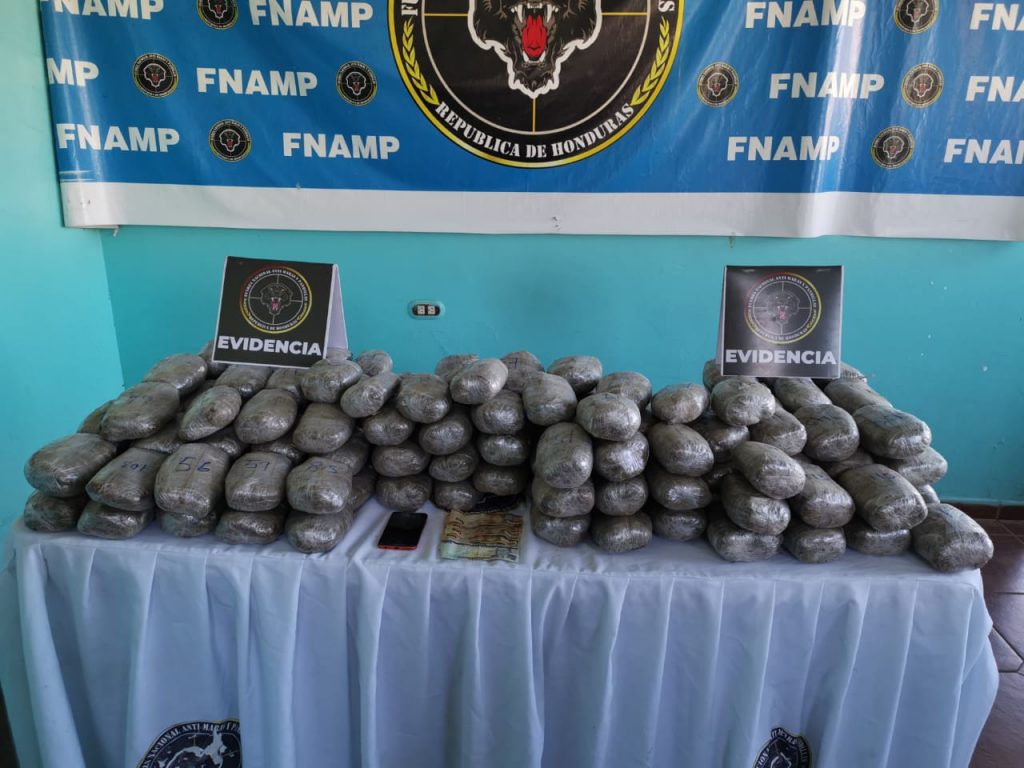 Imagen de cuerpo de nota