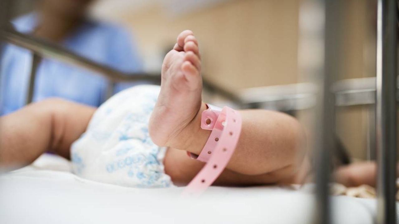 ¿Tendrías tres hijos si te pagaran 100 mil dólares? Conoce la inusual oferta de una ciudad para motivar a ciudadanos a ser padres
