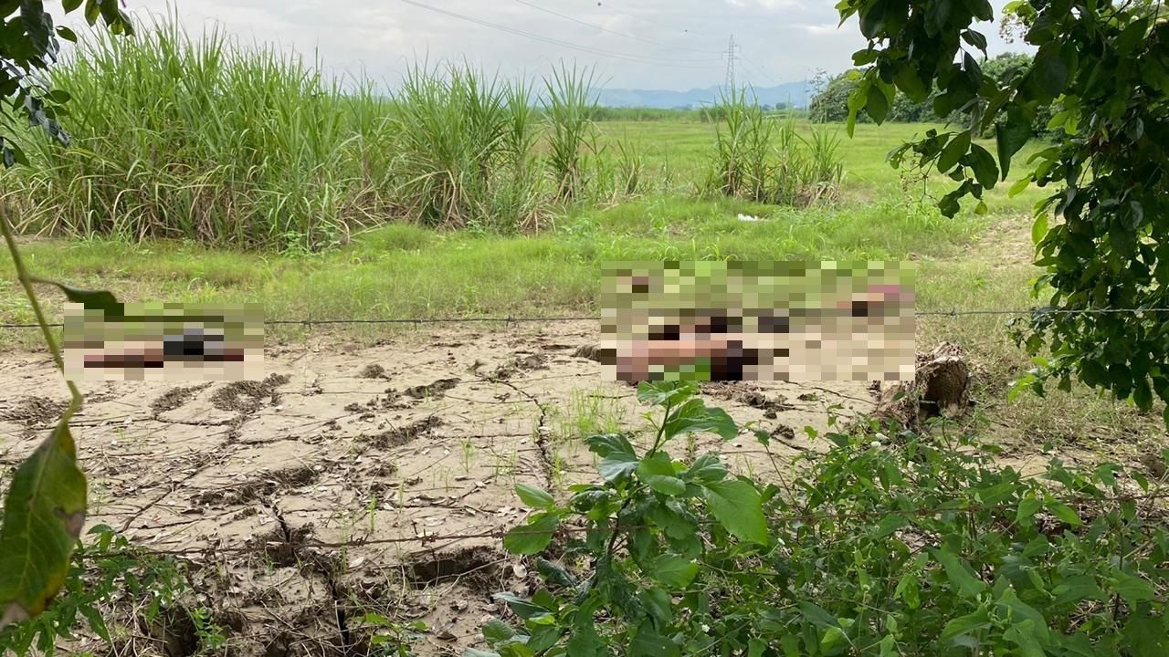 Descuartizados encuentran a dos hombres en el norte de Honduras