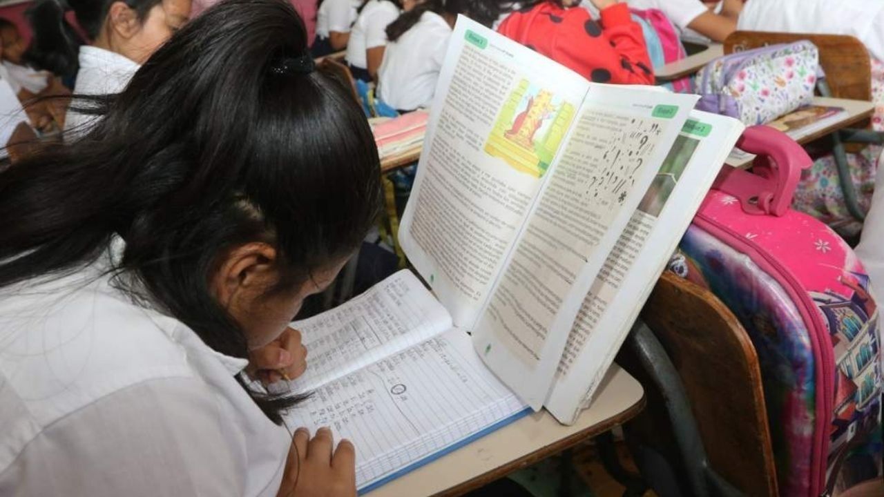 ¿Cómo sería el pilotaje en los centros educativos de Honduras?