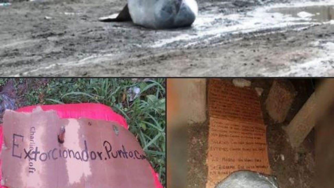 ¿Qué se sabe de los cuerpos encostalados encontrados en varias ciudades de Honduras, con supuestos mensajes de 'extorsionadores'?