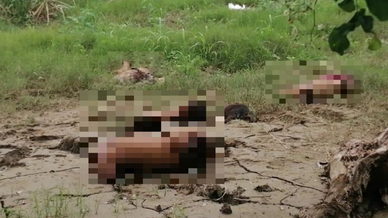 Cuerpos descuartizados en Chamelecón pertenecen a jóvenes de 17 y 23 años
