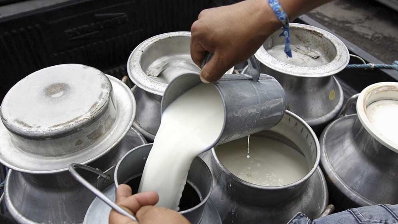 Una caída del 40% en la producción de leche se registrará en los próximos meses, advierte Aproleche