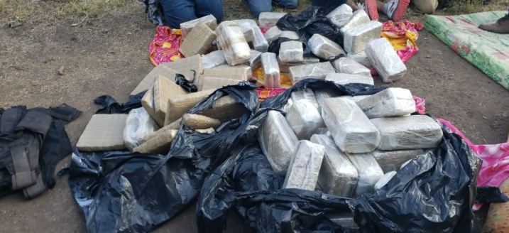 Imagen de cuerpo de nota