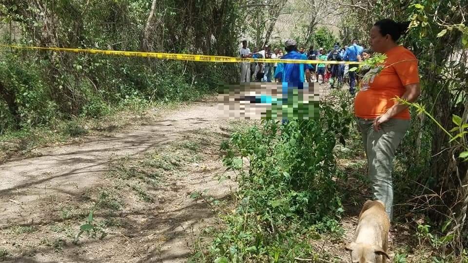 Imagen de cuerpo de nota