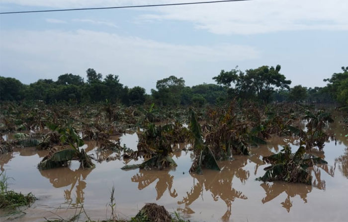 Imagen de cuerpo de nota