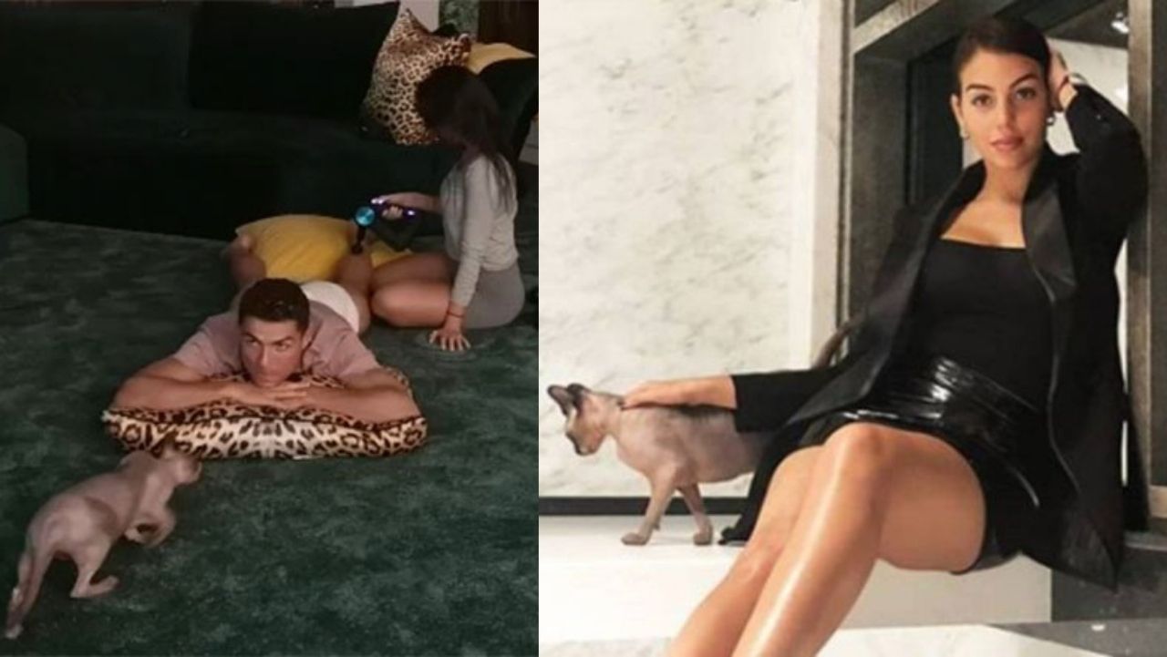 El viaje de emergencia de CR7 y Georgina en un jet privado para salvarle la vida a su gato