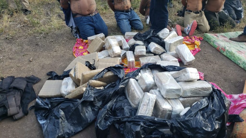 Imagen de cuerpo de nota