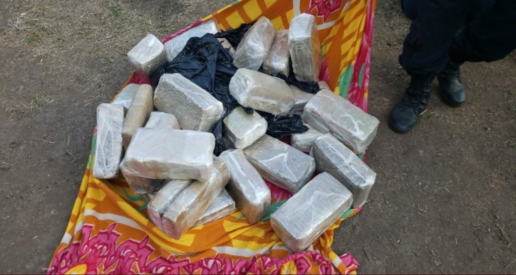 Imagen de cuerpo de nota