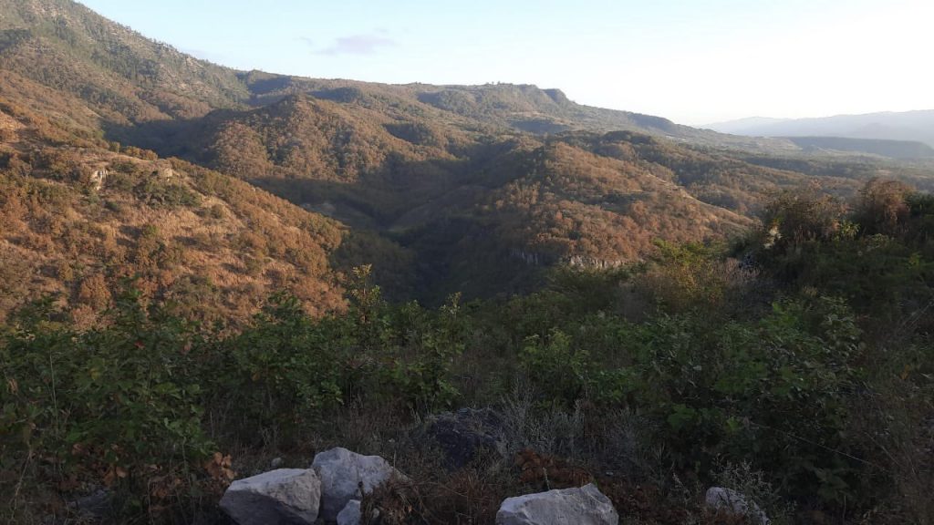 Imagen de cuerpo de nota