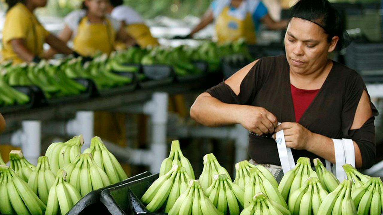 Fedecámaras: Energía cara y tanto impuesto no ayuda a generar empleos