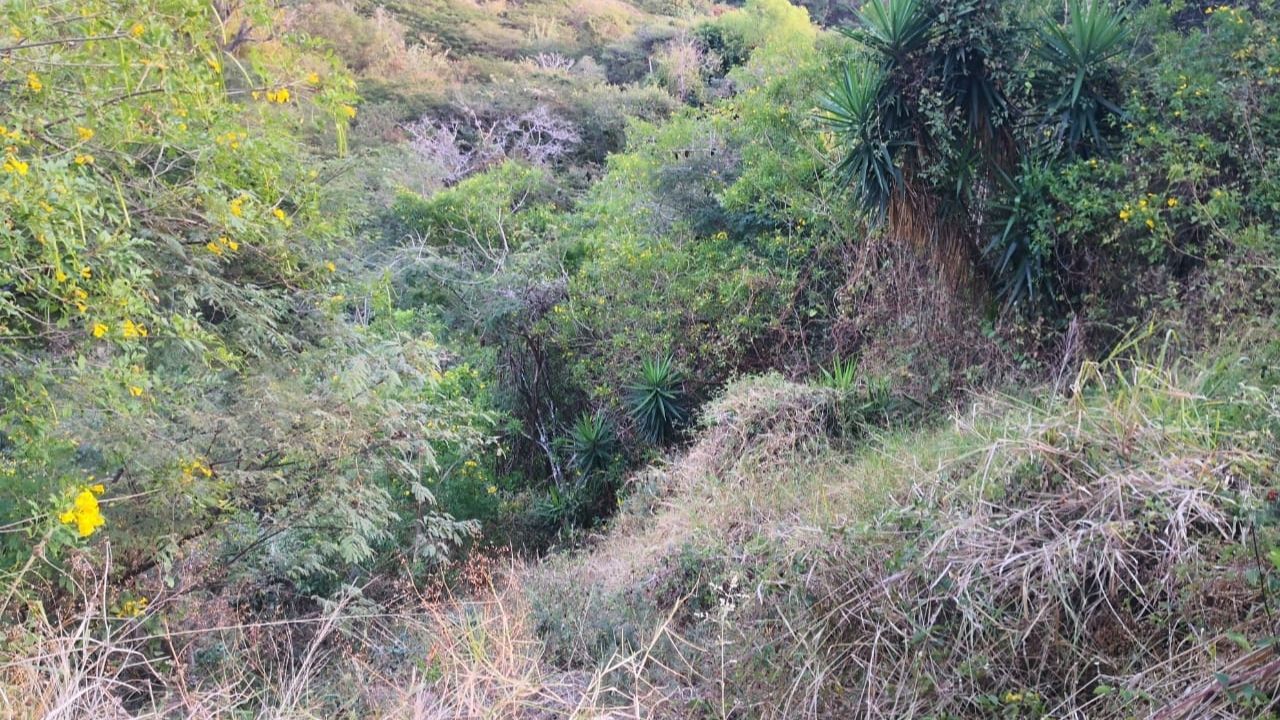 Hondureño se salva de morir tras caer con su carro a una hondonada de unos 100 metros en la carretera a Santa Lucía