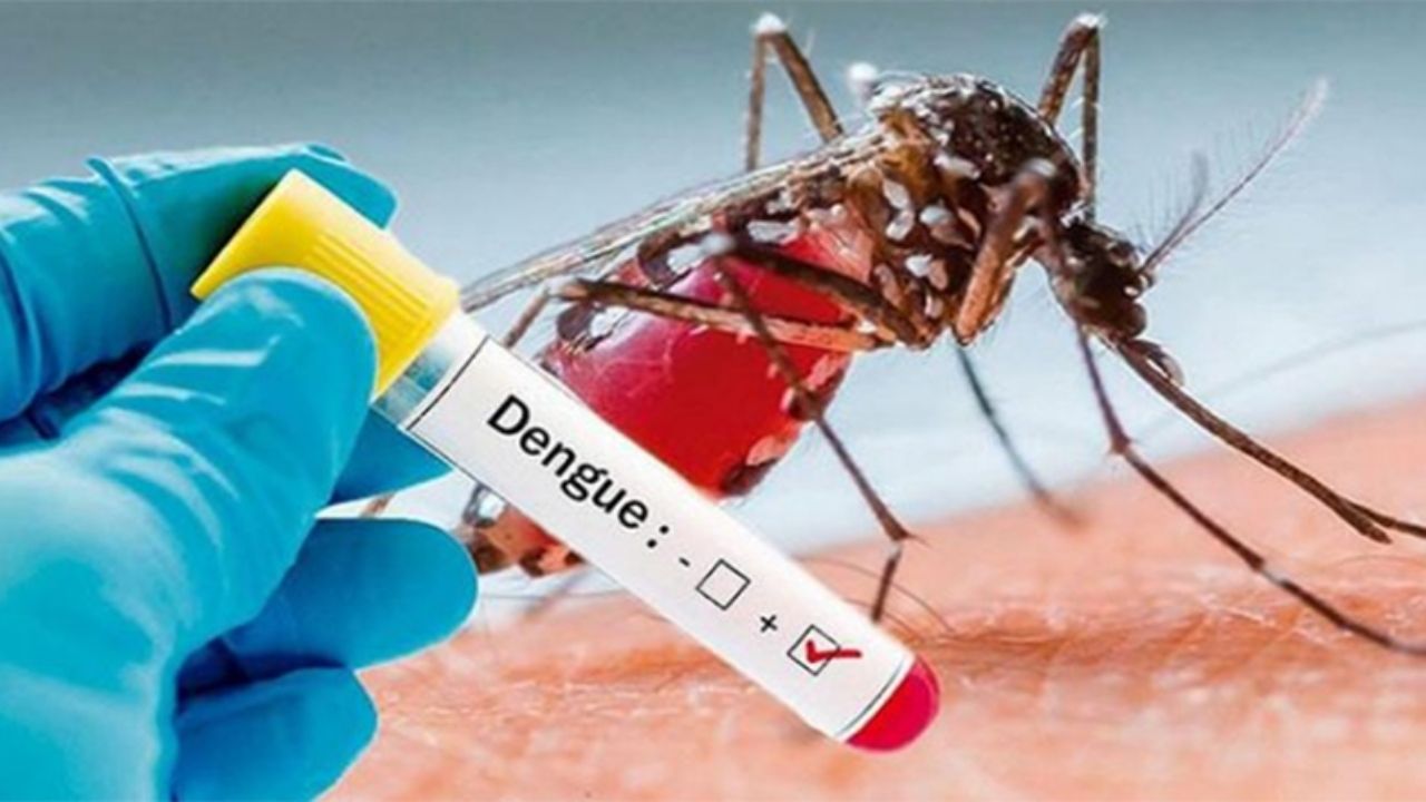 Alerta roja en ocho departamentos de Honduras por aumento de casos de dengue