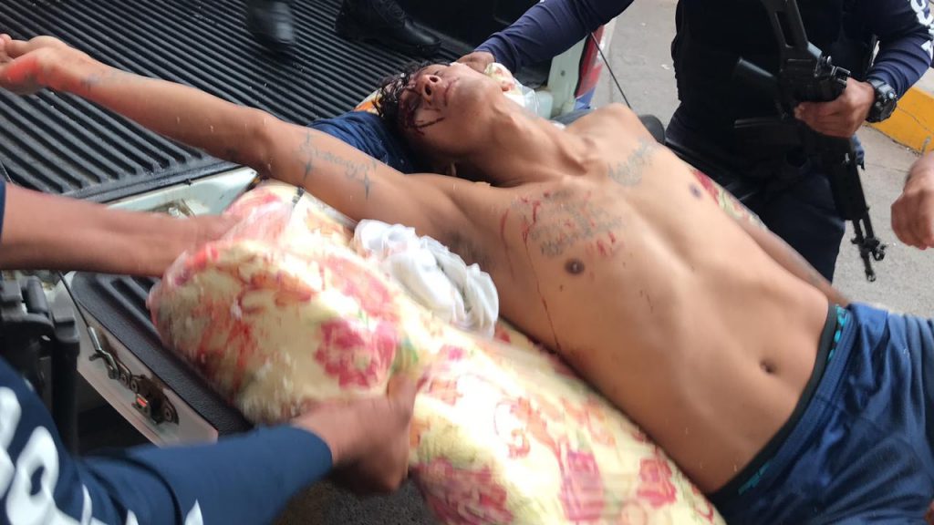 Imagen de cuerpo de nota