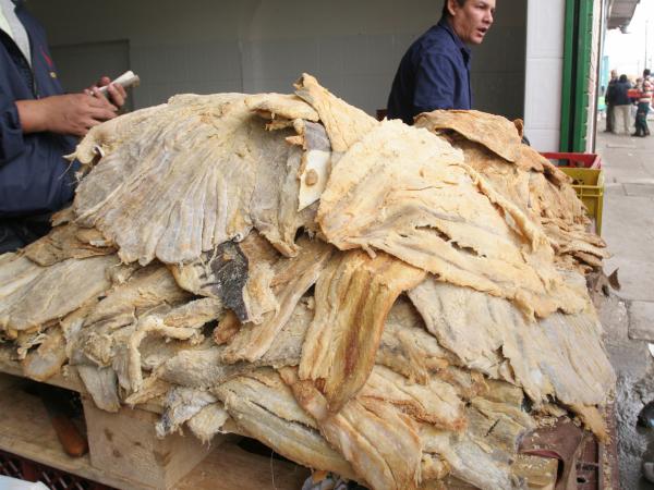 Imagen de cuerpo de nota