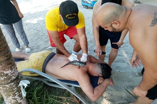 Imagen de cuerpo de nota