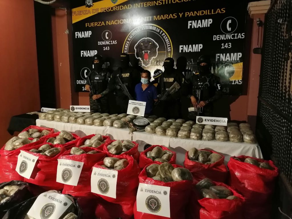 Imagen de cuerpo de nota