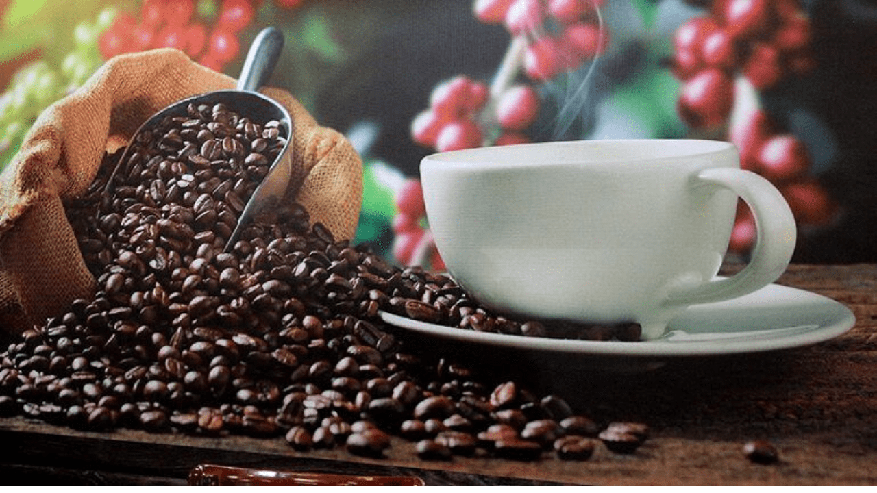Honduras vendió 276.45 millones de dólares en café en cinco meses, 16.4% menos que la temporada anterior