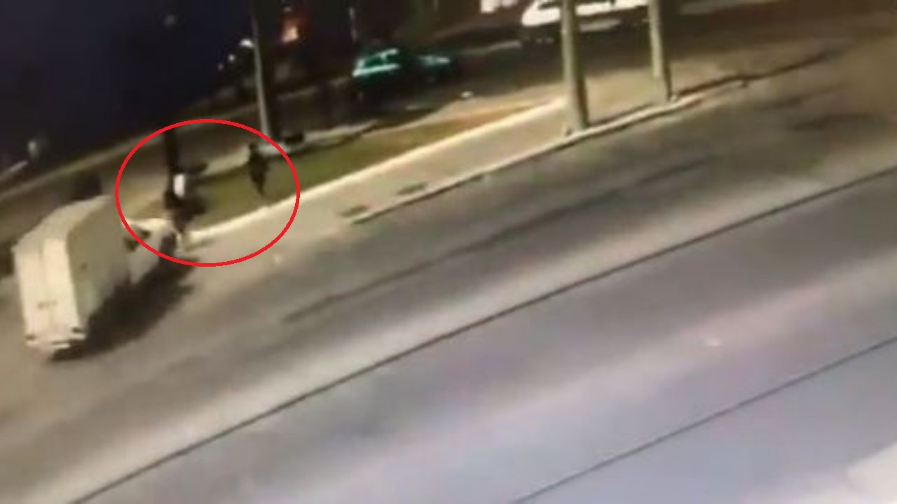 Tres ladrones fueron atropellados por su víctima cuando se daban a la fuga; todo quedó grabado