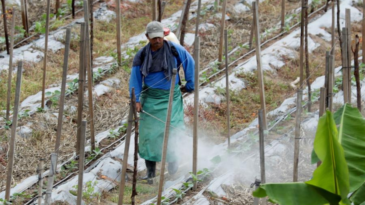 Unas 400 mil personas perdieron su trabajo en Honduras en 2020 por la pandemia