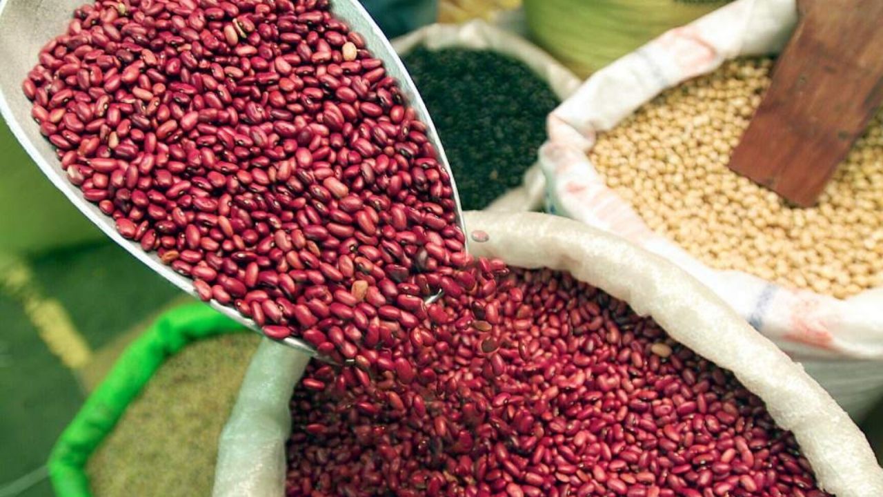 Alza de 20% en insumos amenaza producción estimada de 17 millones de quintales de granos en Honduras
