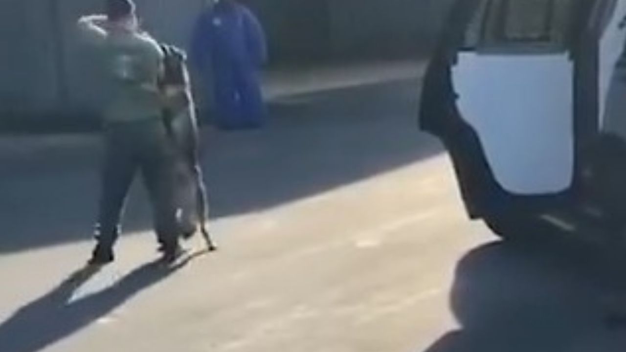 El polémico vídeo de un policía que estrangula y golpea a un perro es viral en Estados Unidos