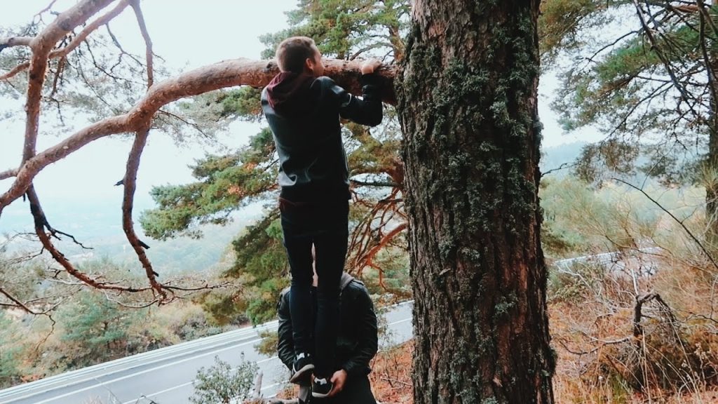 Imagen de cuerpo de nota