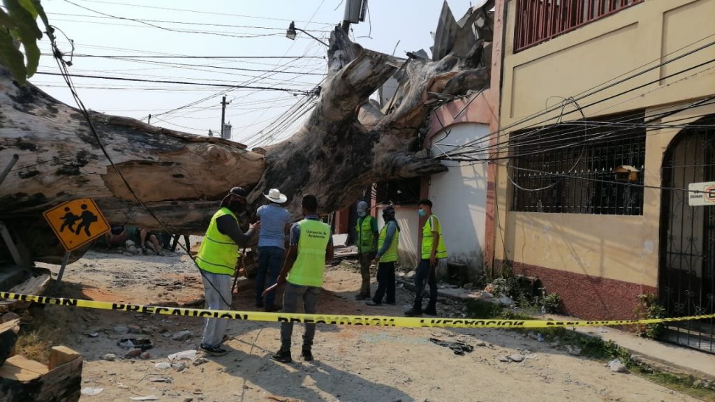 Imagen de cuerpo de nota