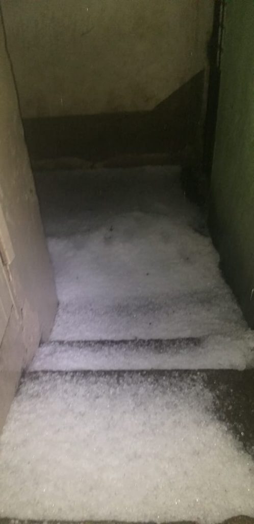 Imagen de cuerpo de nota