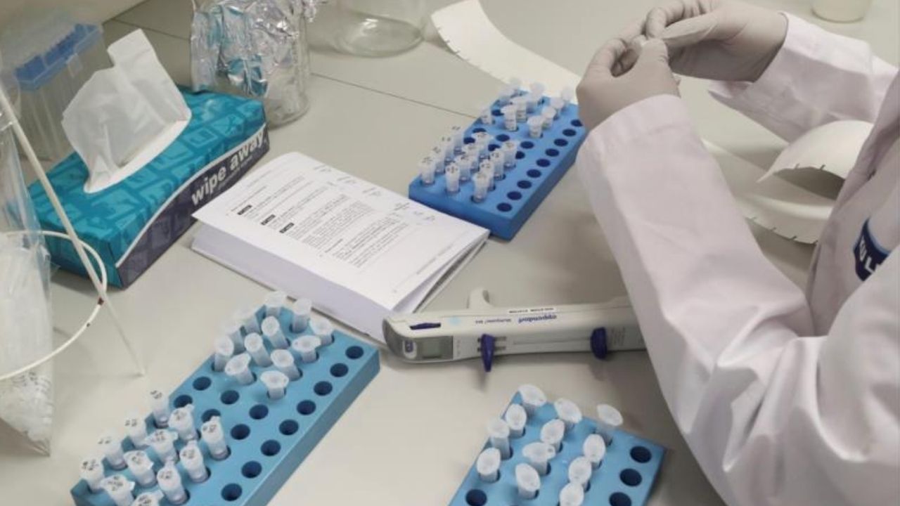 Editorial HRN: El acecho de la pandemia covid y el protocolo 'Catracho' en Honduras