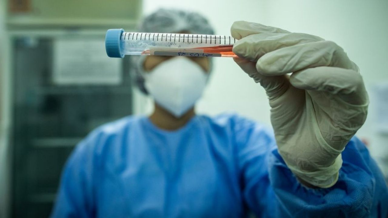 Científicos estudian nueva variante de covid-19 originada en Perú o en Chile