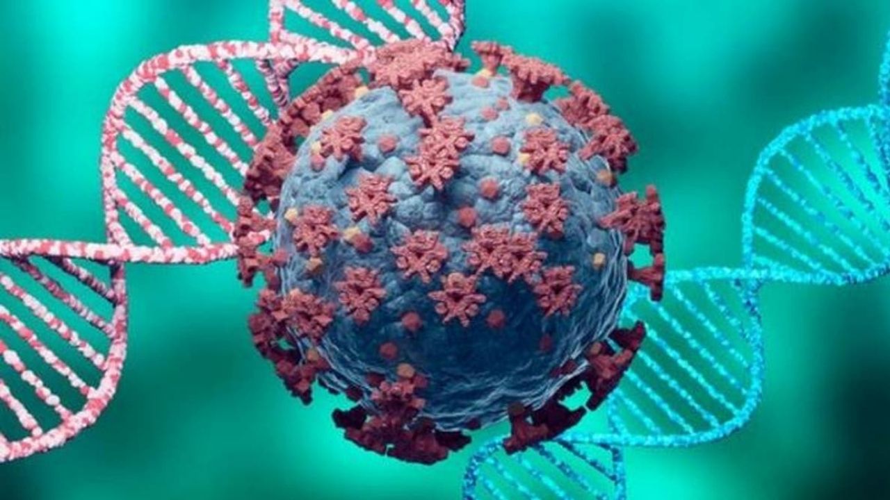 Cinco variantes del nuevo coronavirus circulan en Cuba, según un estudio